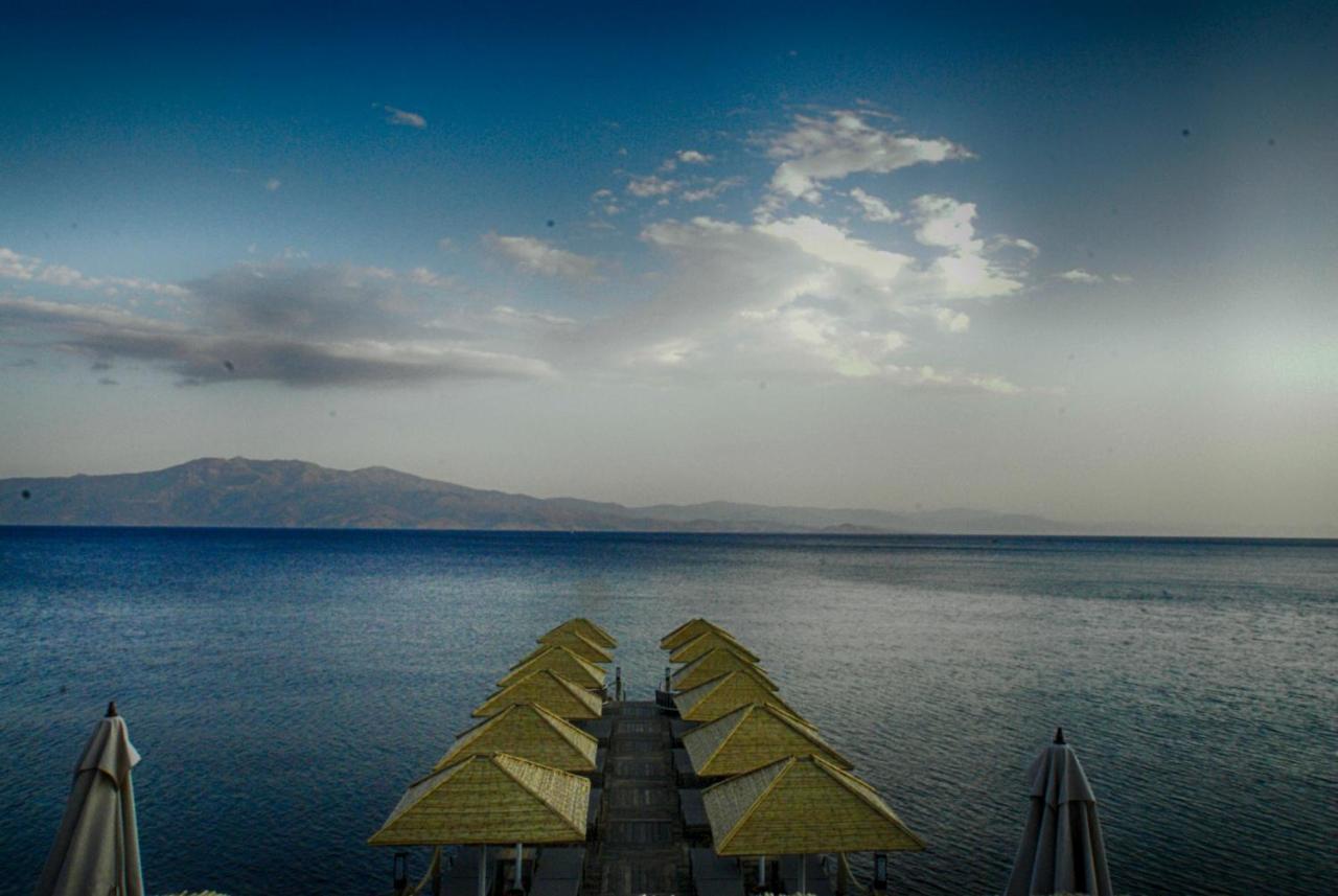 Assos Dionysos Special Class Hotel Adults Only 12 Years Exterior photo