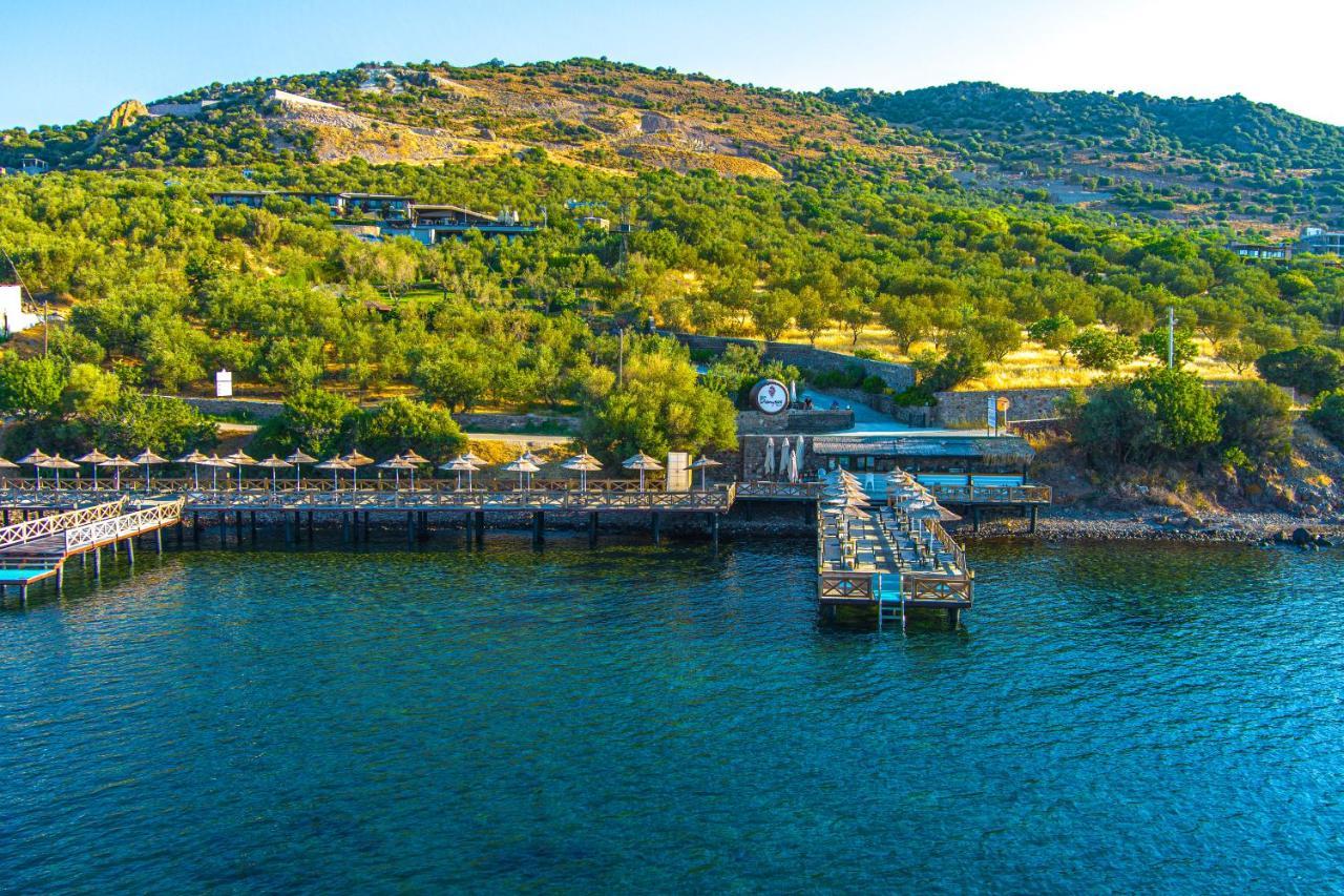 Assos Dionysos Special Class Hotel Adults Only 12 Years Exterior photo